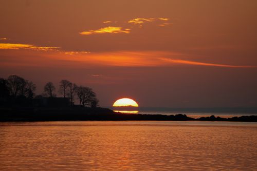 Free Stunning sunset over the ocean with silhouette of trees and coastline, capturing serenity and natural beauty. Stock Photo