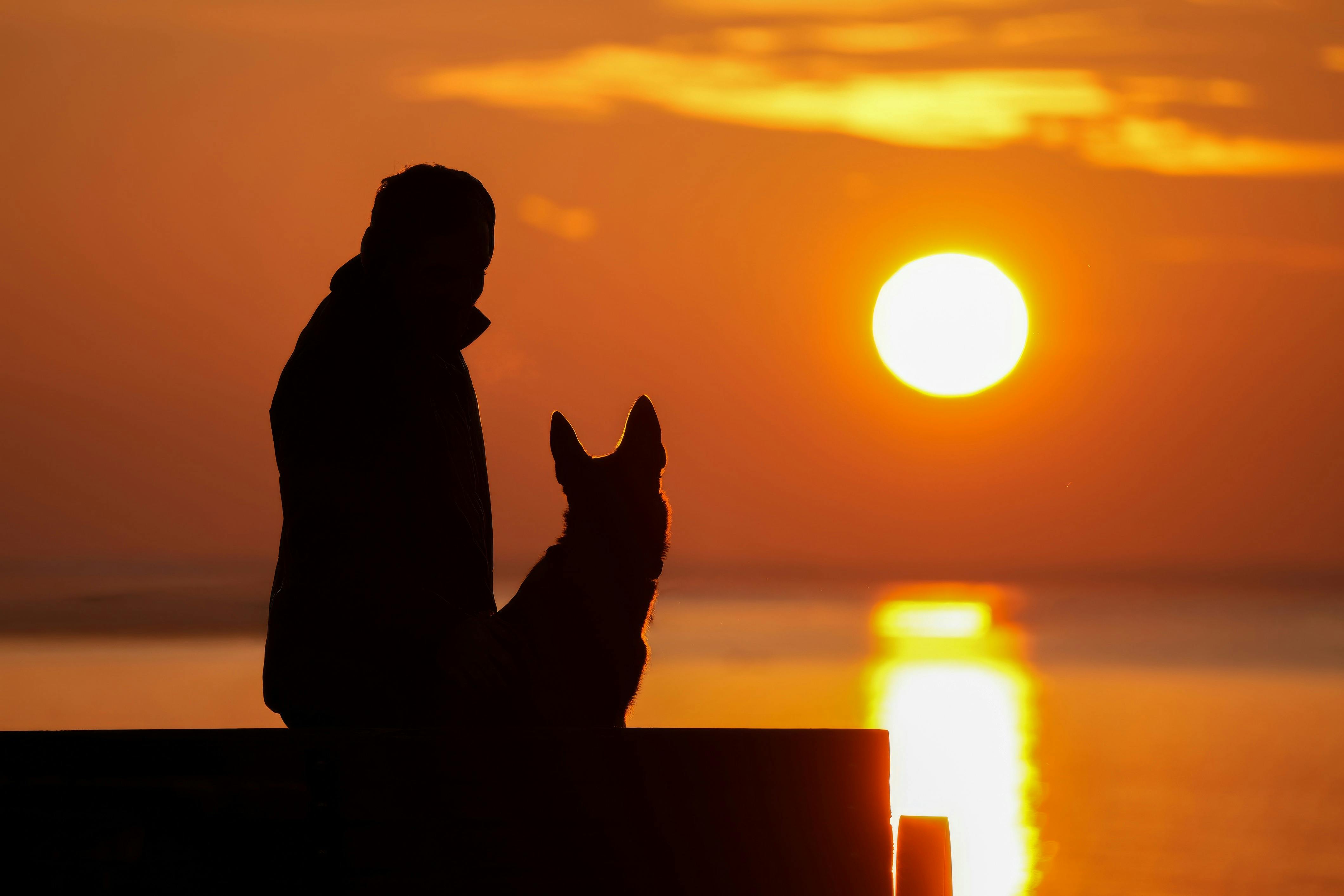 The Rise of the After-Hours Vet as a Lifestyle Essential for Gen Z Pet Parents — Photo by Cara Denison on Pexels