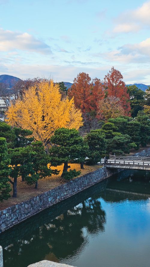 Free Autumn foliage with vibrant trees and a serene bridge reflection in a tranquil park. Stock Photo