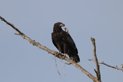 Photo by Veronika Andrews