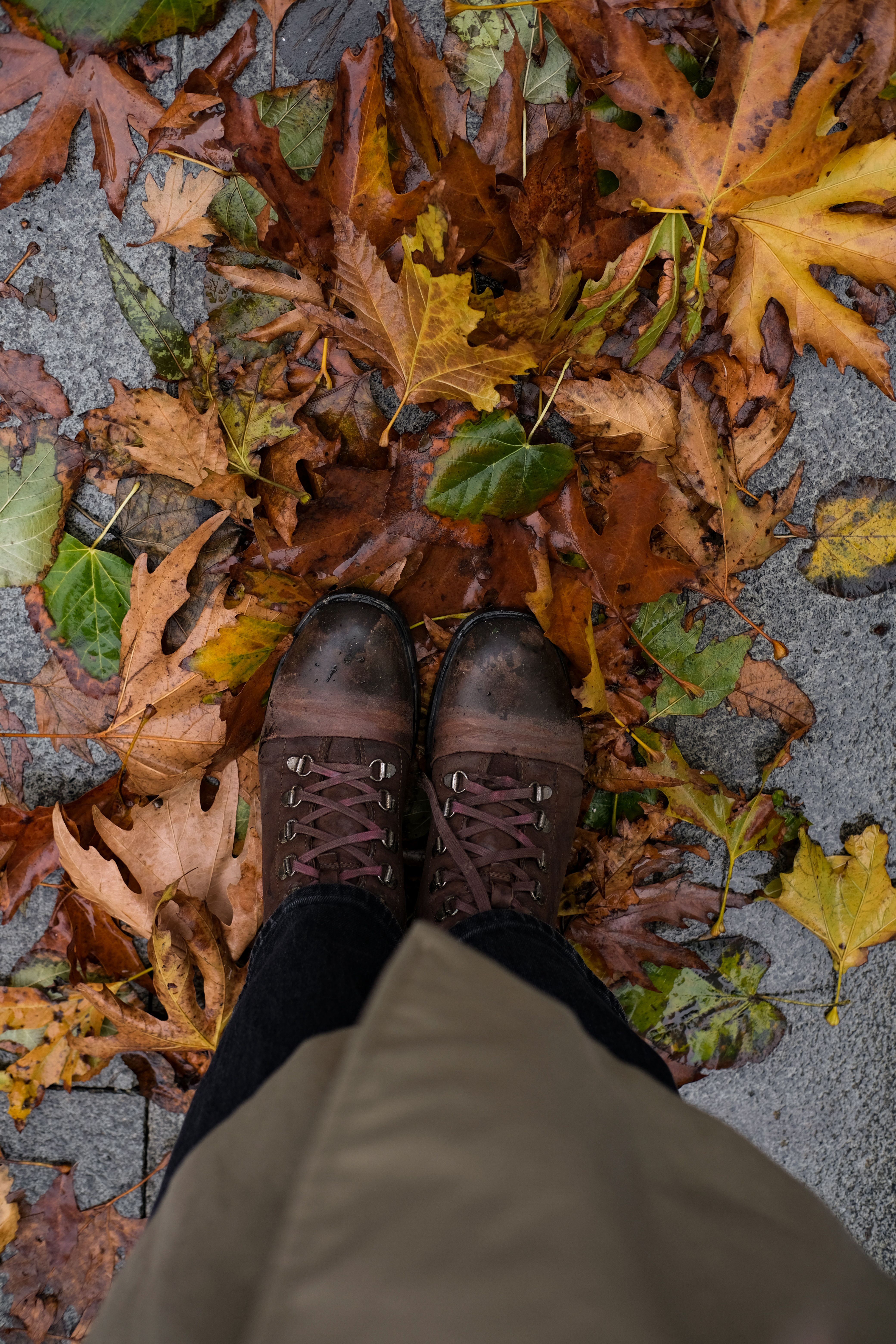 Top view of brown boots standing on fallen autumn leaves, showcasing seasonal colors.