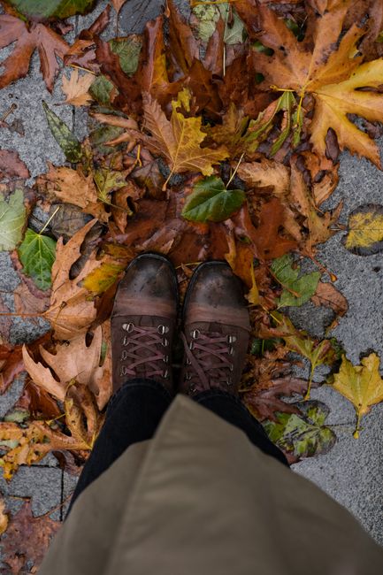 Top view of brown boots standing on fallen autumn leaves, showcasing seasonal colors.
