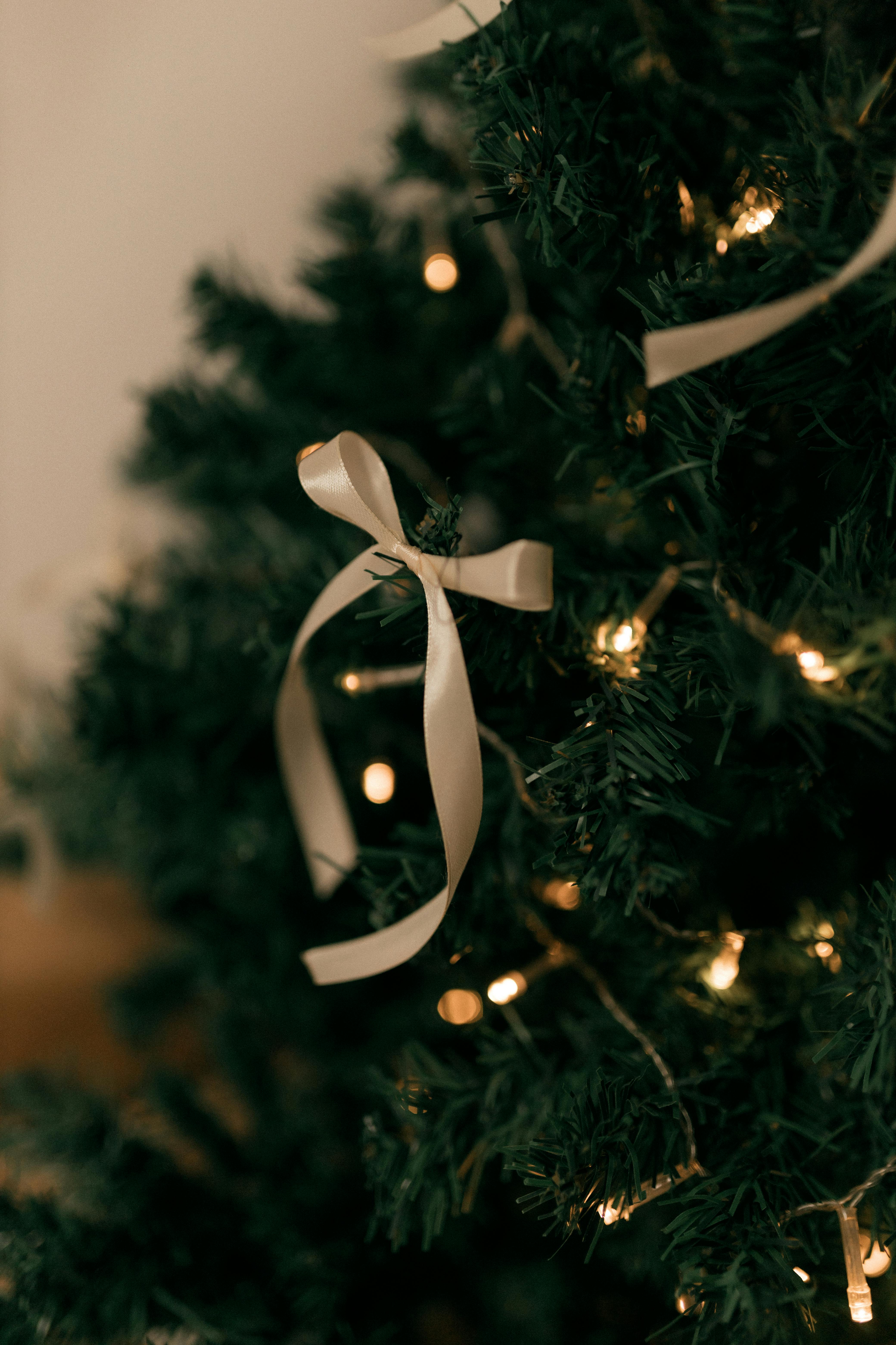 Elegant Christmas tree detailed with lights and a ribbon bow, symbolizing festive warmth.