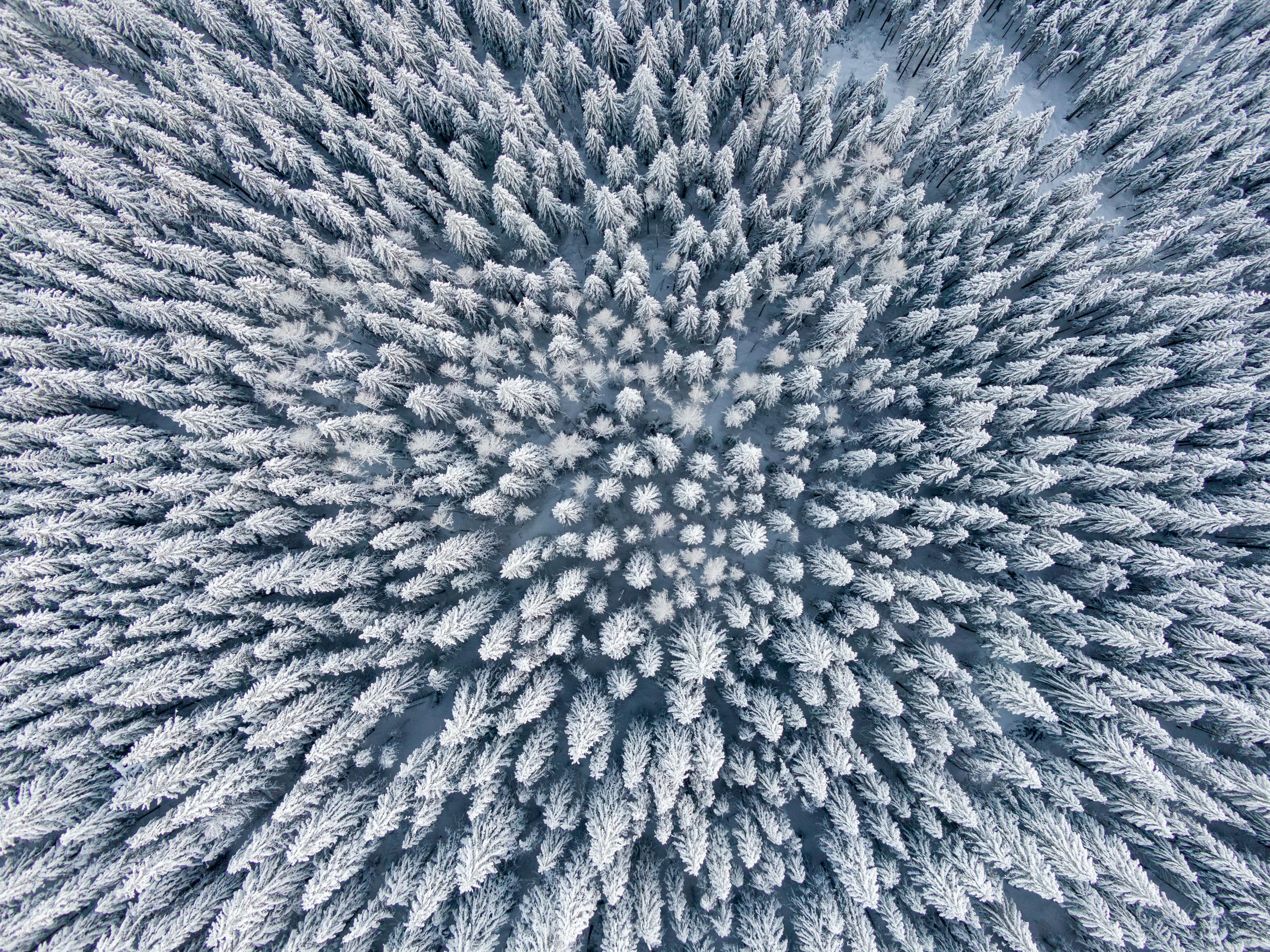 Drone shot capturing a stunning bird's-eye view of a snowy forest in winter.