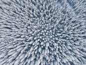 无人机从空中拍摄了冬季白雪皑皑的森林，景象令人惊叹