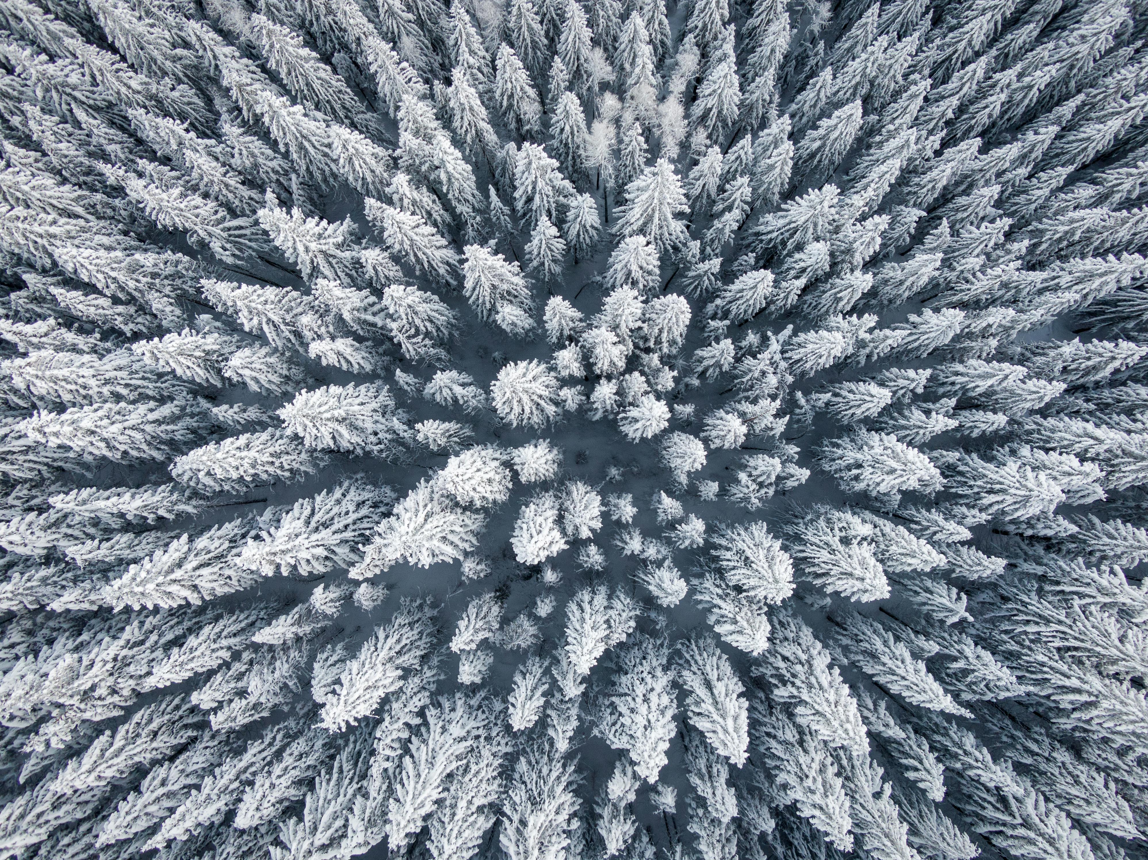 50,000+ Best Tumblr Wallpaper Photos · 100% Free Download · Pexels Stock Photos 50,000+ Best Tumblr Wallpaper Photos · 100% Free Download · Pexels Stock Photos
