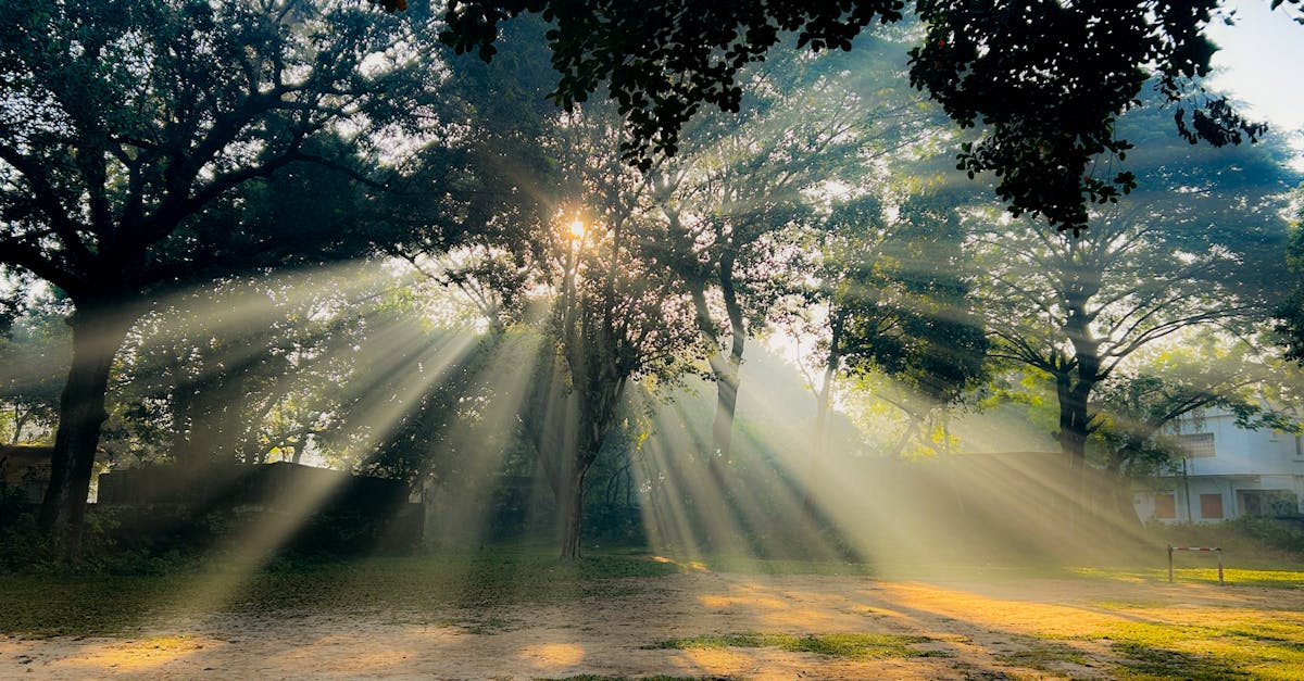 metáfora terapêutica