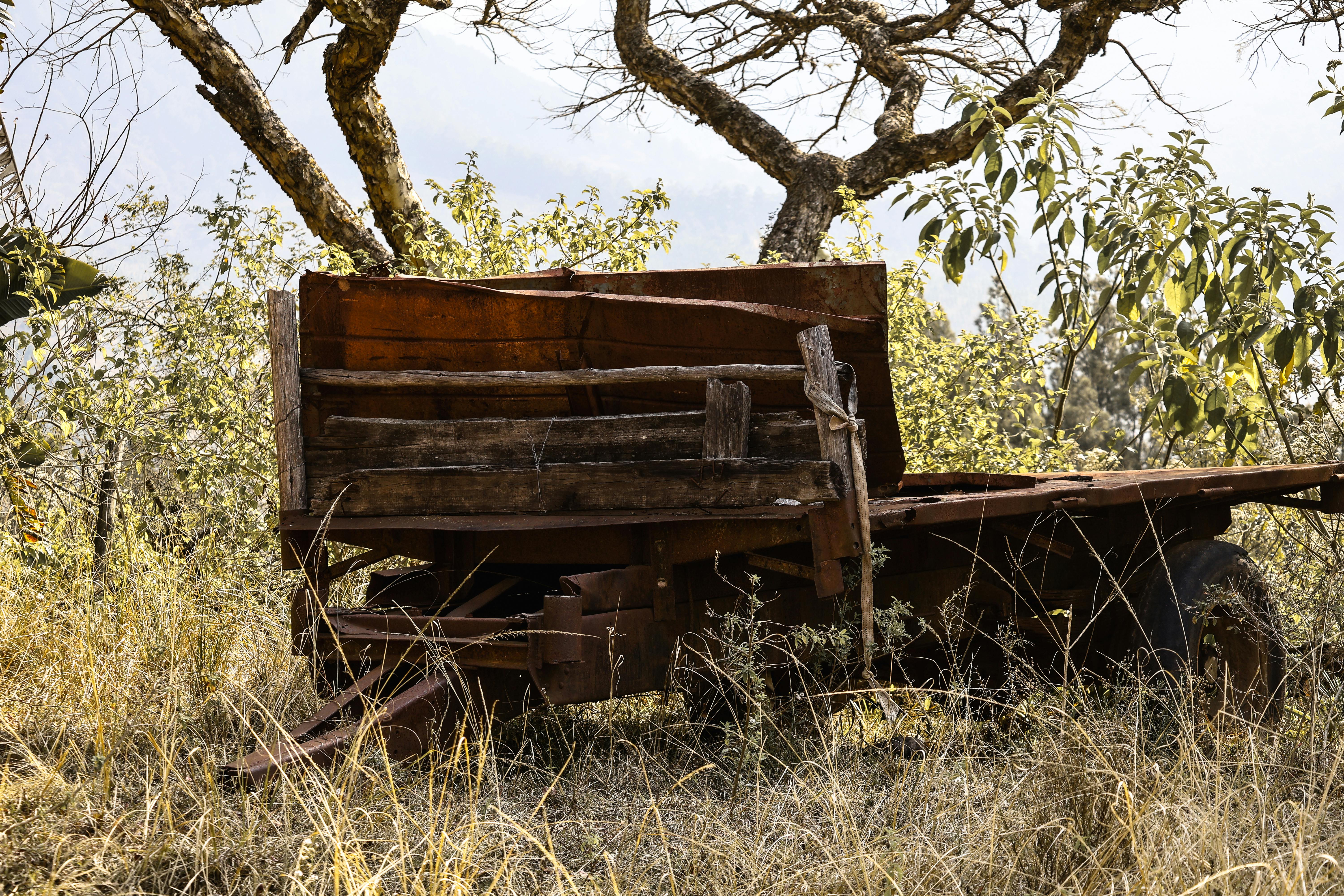 A rustic, abandoned wooden cart in an overgrown field, surrounded by trees.
