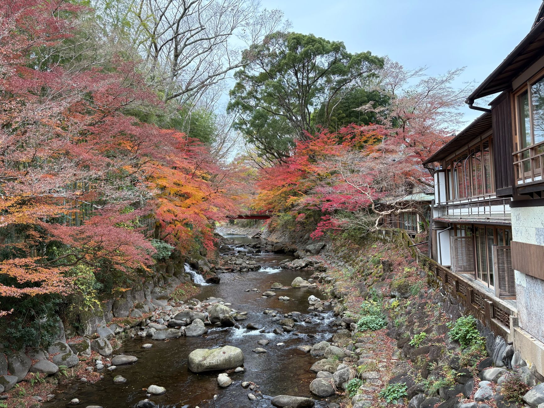 지진 대비 안 하고 떠난 일본 여행, 후회 줄이는 체크리스트 6 Picturesque autumn scenery of a river flowing through colorful foliage in Izu, Shizuoka, Japan.