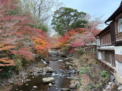 Free Picturesque autumn scenery of a river flowing through colorful foliage in Izu, Shizuoka, Japan. Stock Photo