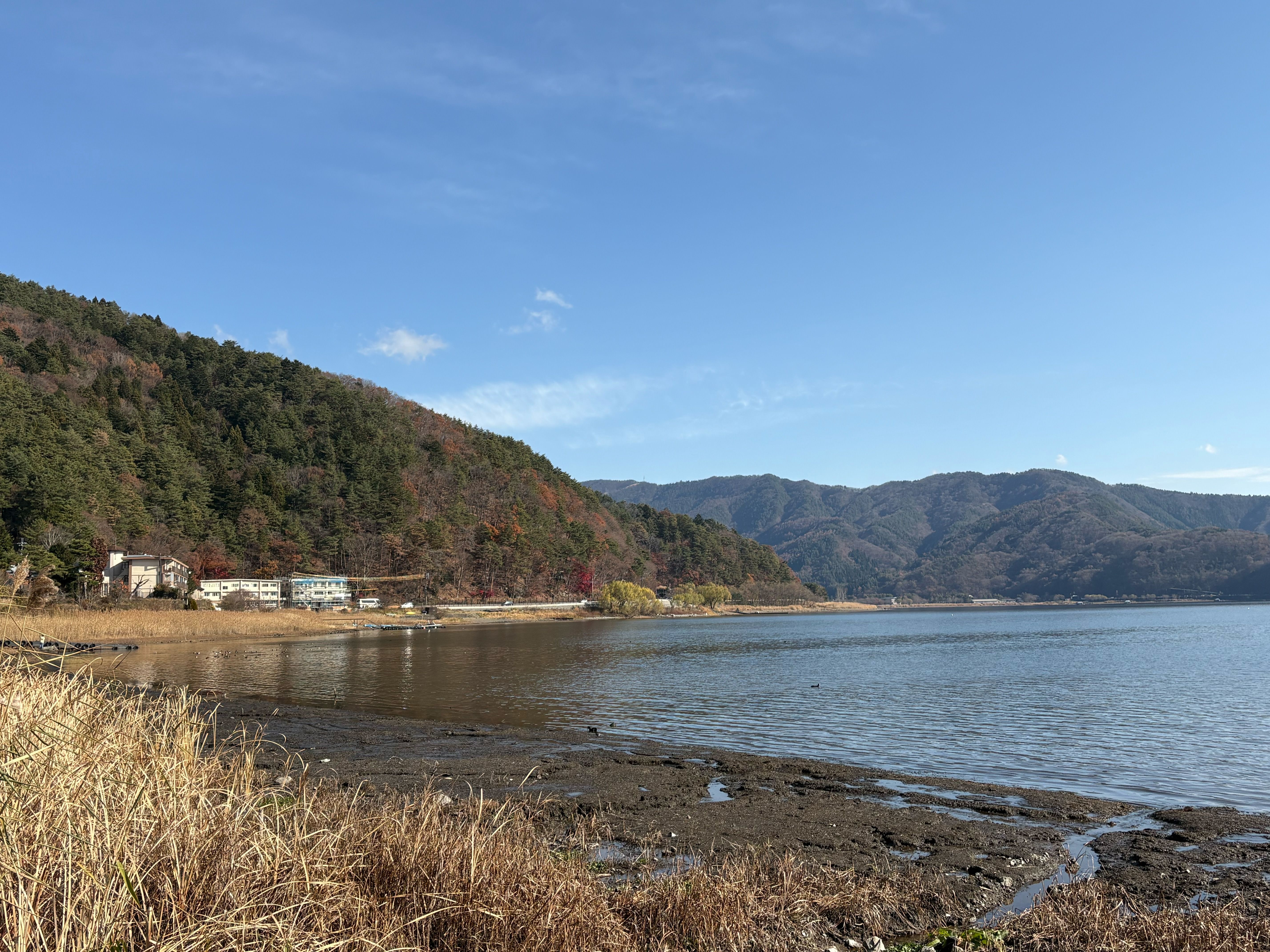 Serene autumn landscape of a Japanese lakeside with clear blue skies.