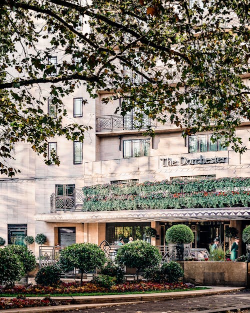 Greenery by Entrance to 5 Star Hotel in London, England