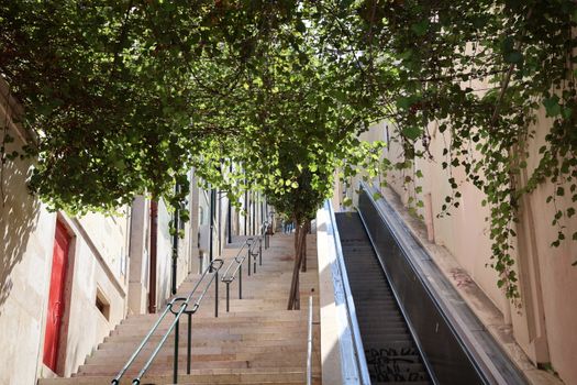 Scenic view of a staircase and escalator lined with lush greenery in Lisbon, Portugal.