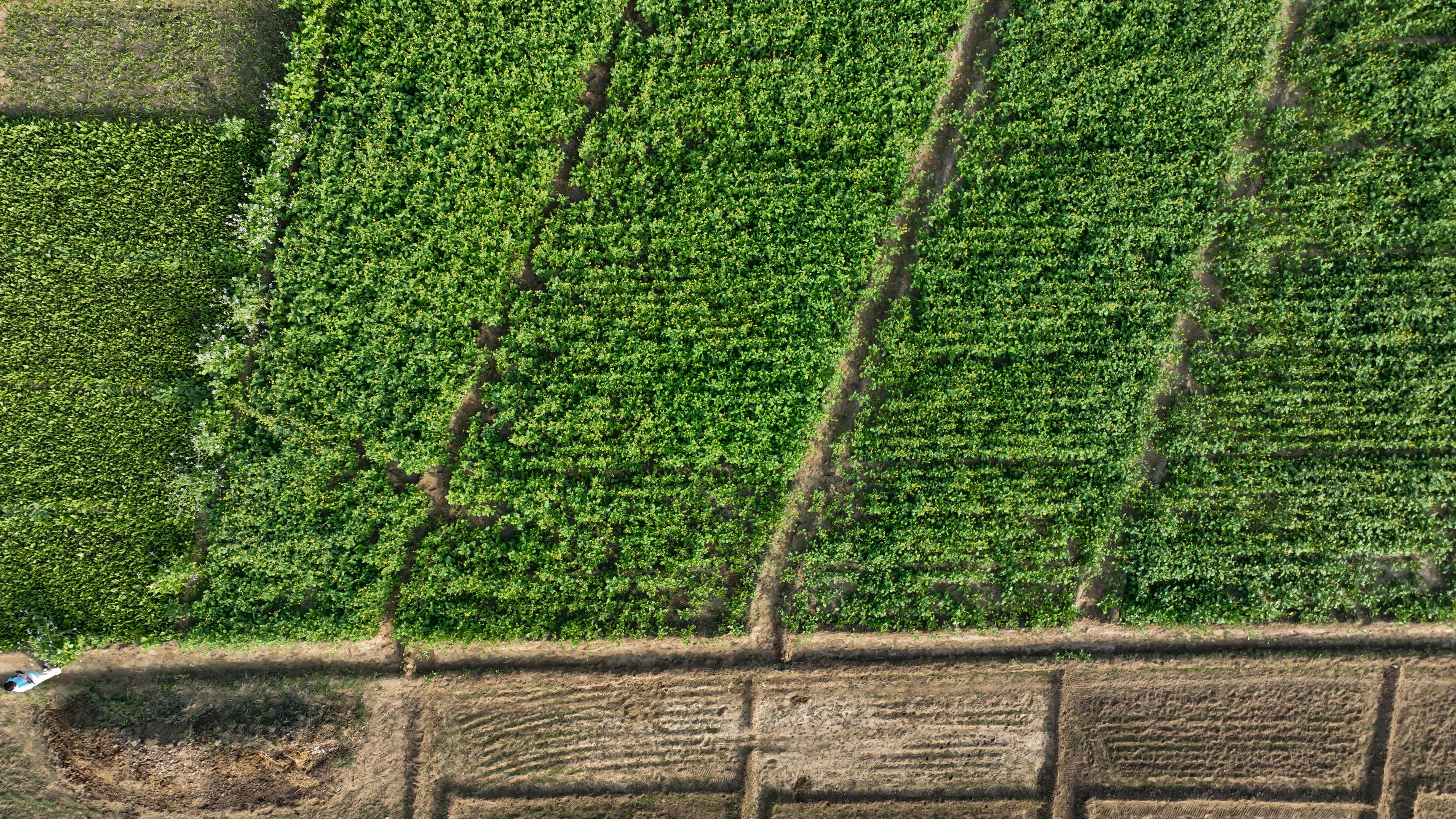 財經急診事：CPO技術引領AI光通訊股後市看漲