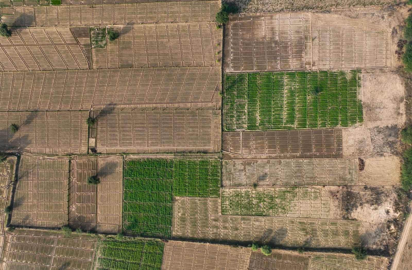 10 Marla Residential Plot in Overseas Block — Plot in Park View City, Islamabad