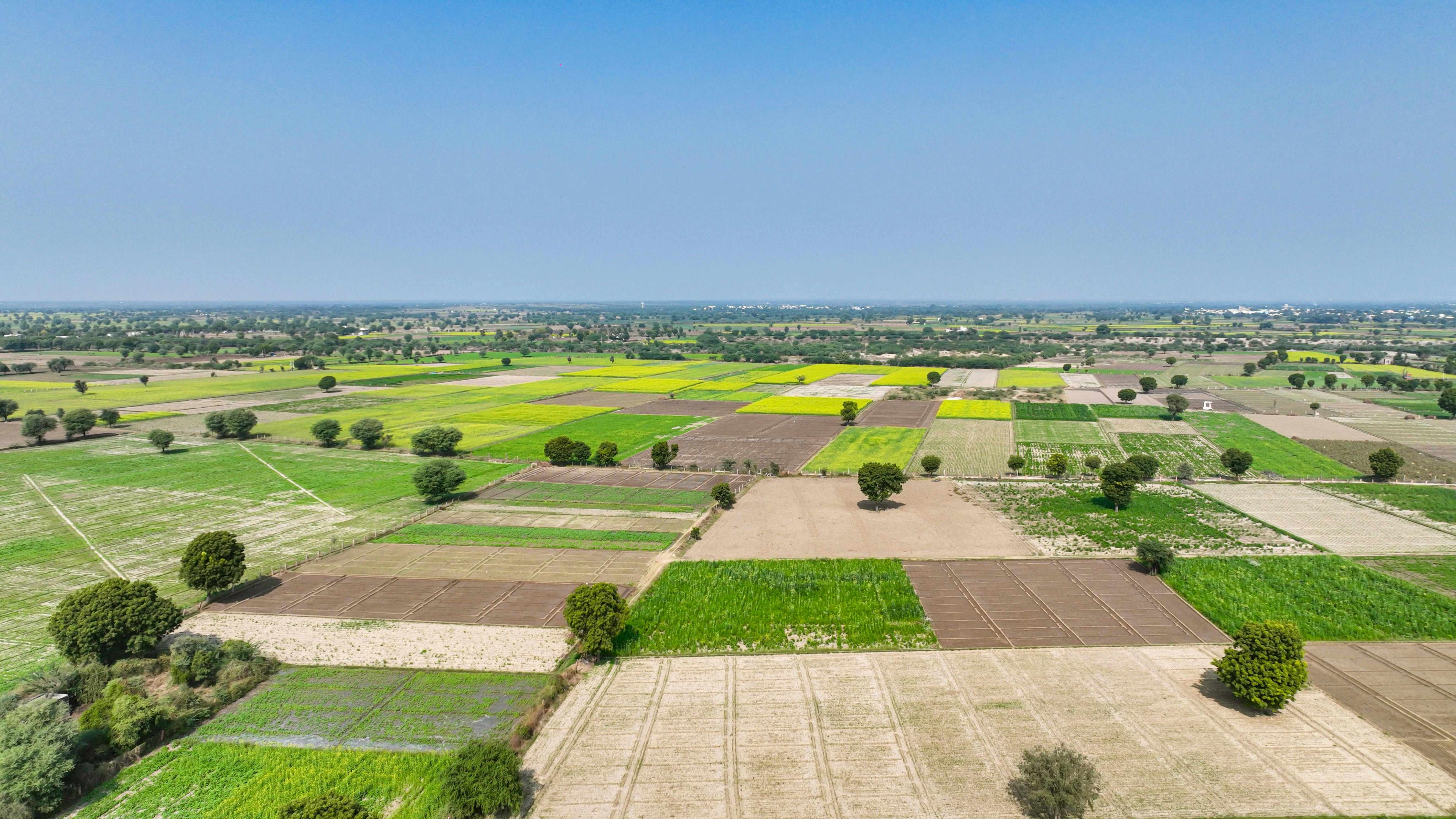 富宇共響音樂生活節啟動，推動有感綠色生活新風潮
