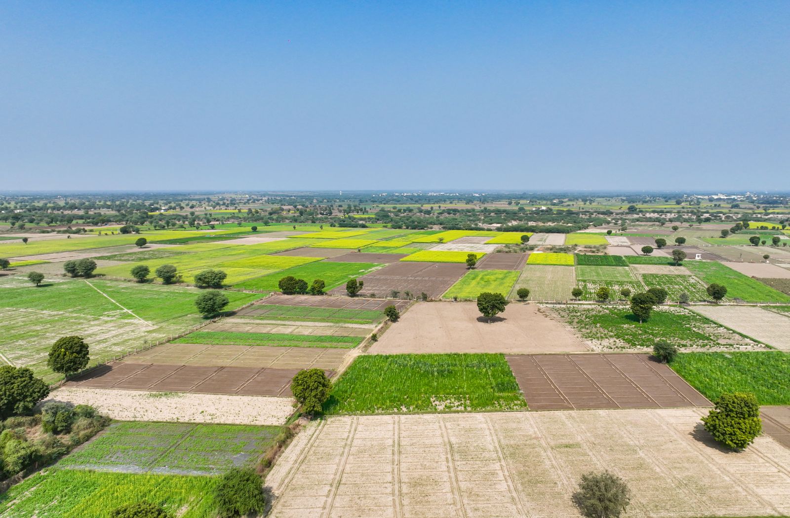 1 Kanal Plot in DHA Multan — Plot in DHA Multan, Multan