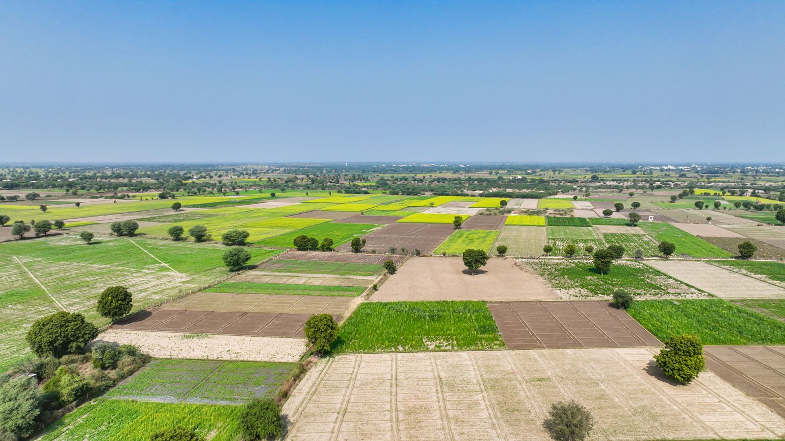 Terreno amplio susceptible de subdividirse en varios lotes