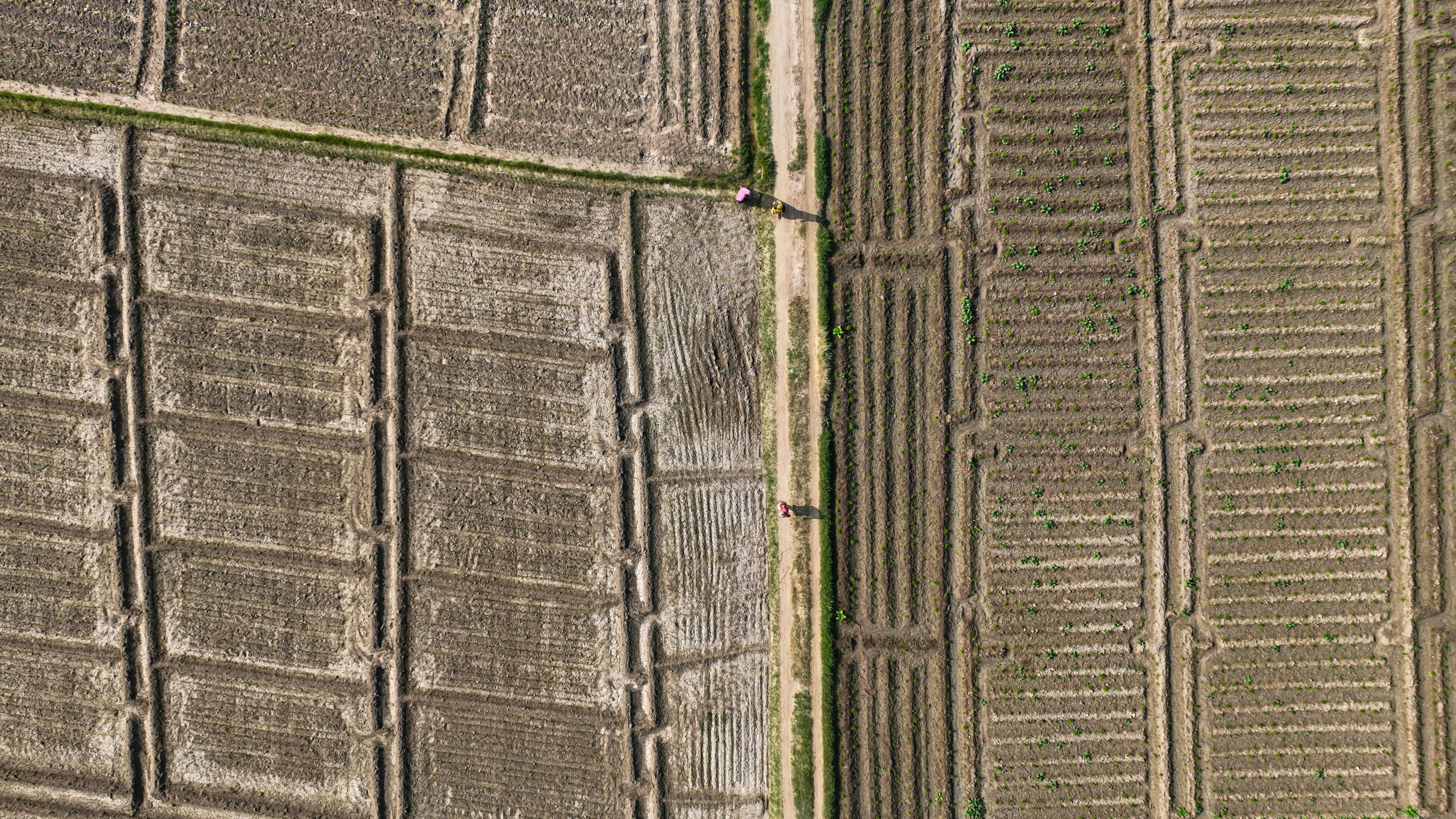 財經：美國推動無人機計劃 台灣雷虎成功搶進採購標案