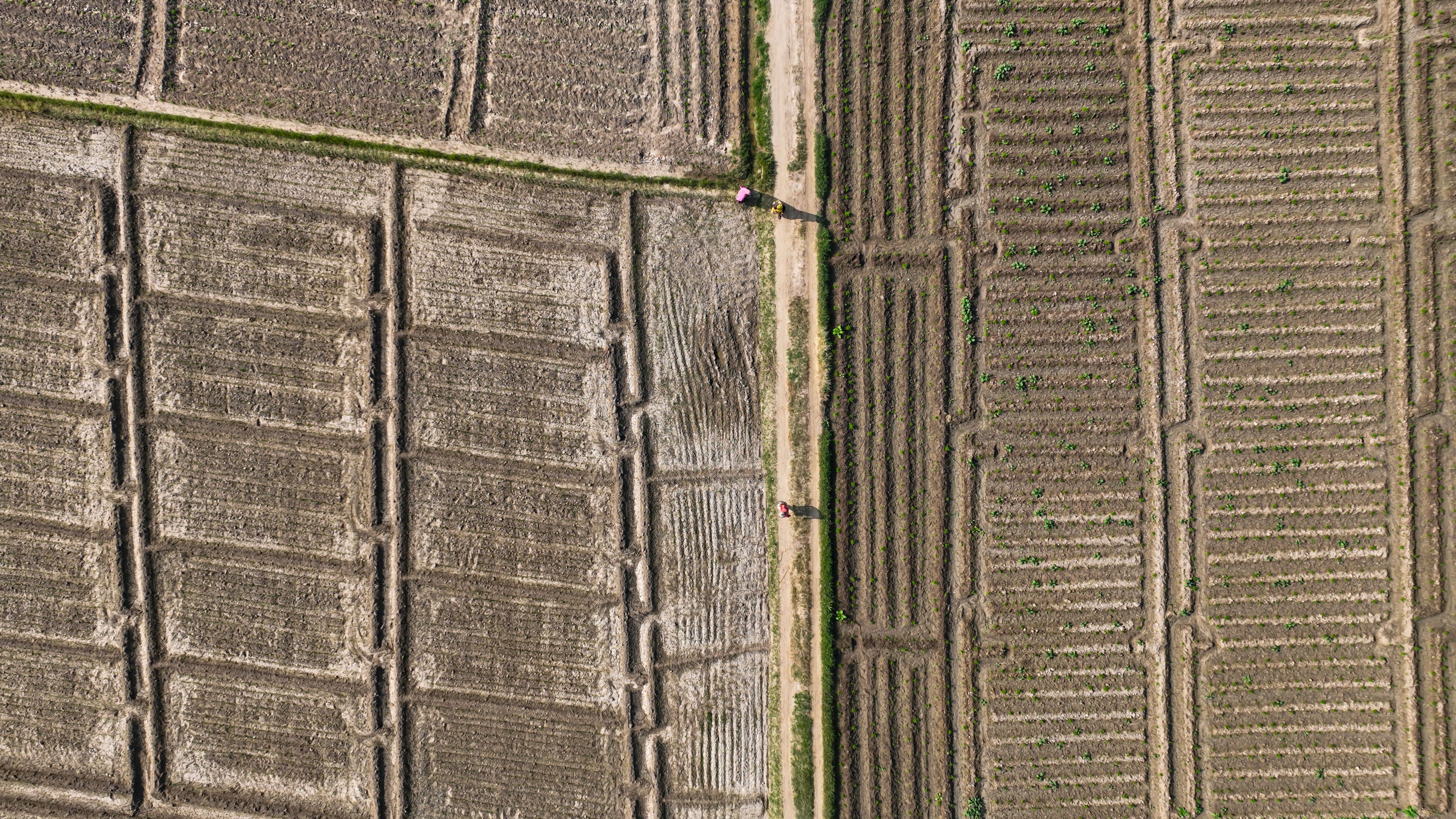 Aerial View of Agricultural Fields with Farmers · Free Stock Photo