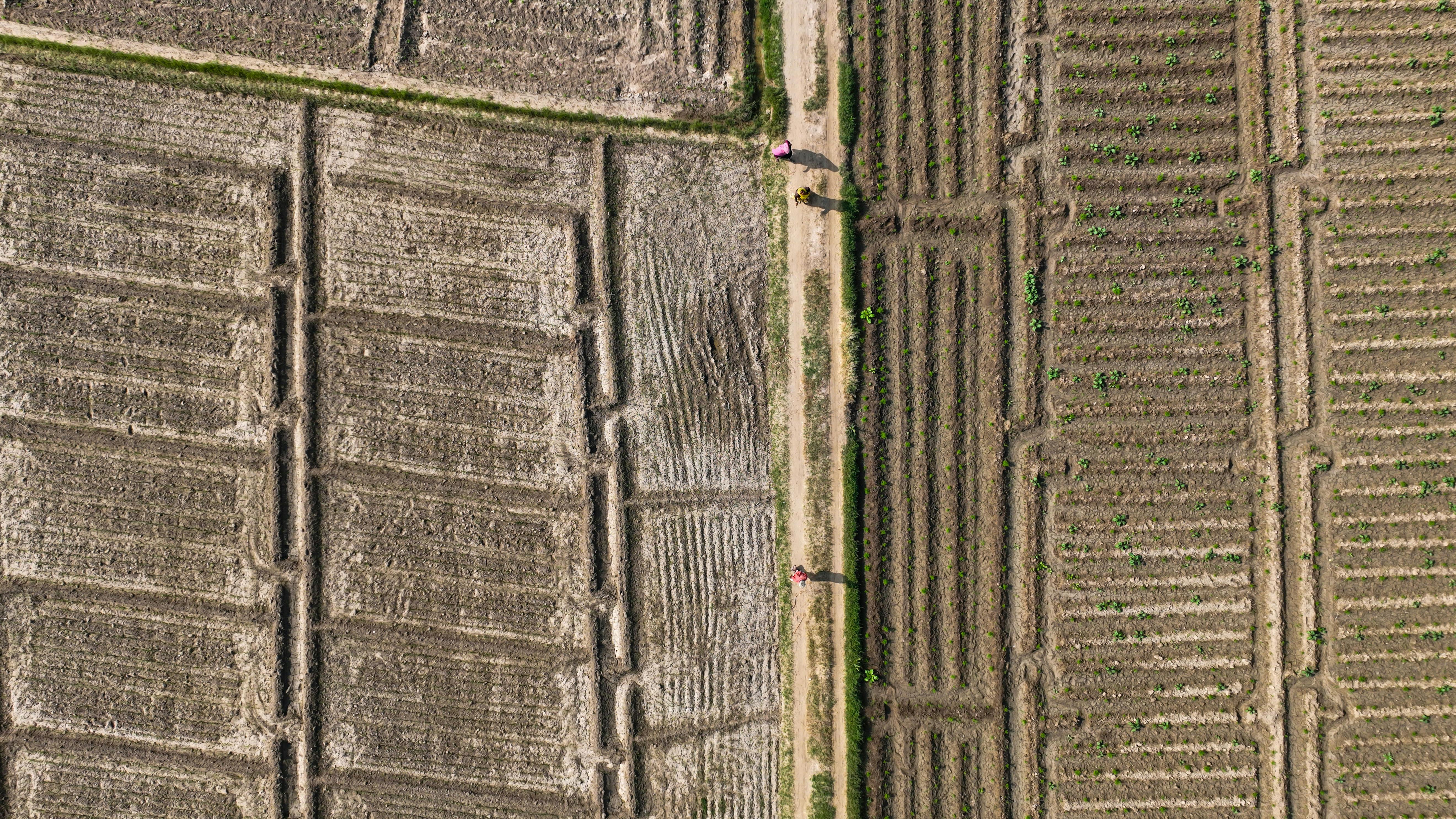 財經：美國推動無人機計劃 台灣雷虎成功搶進採購標案