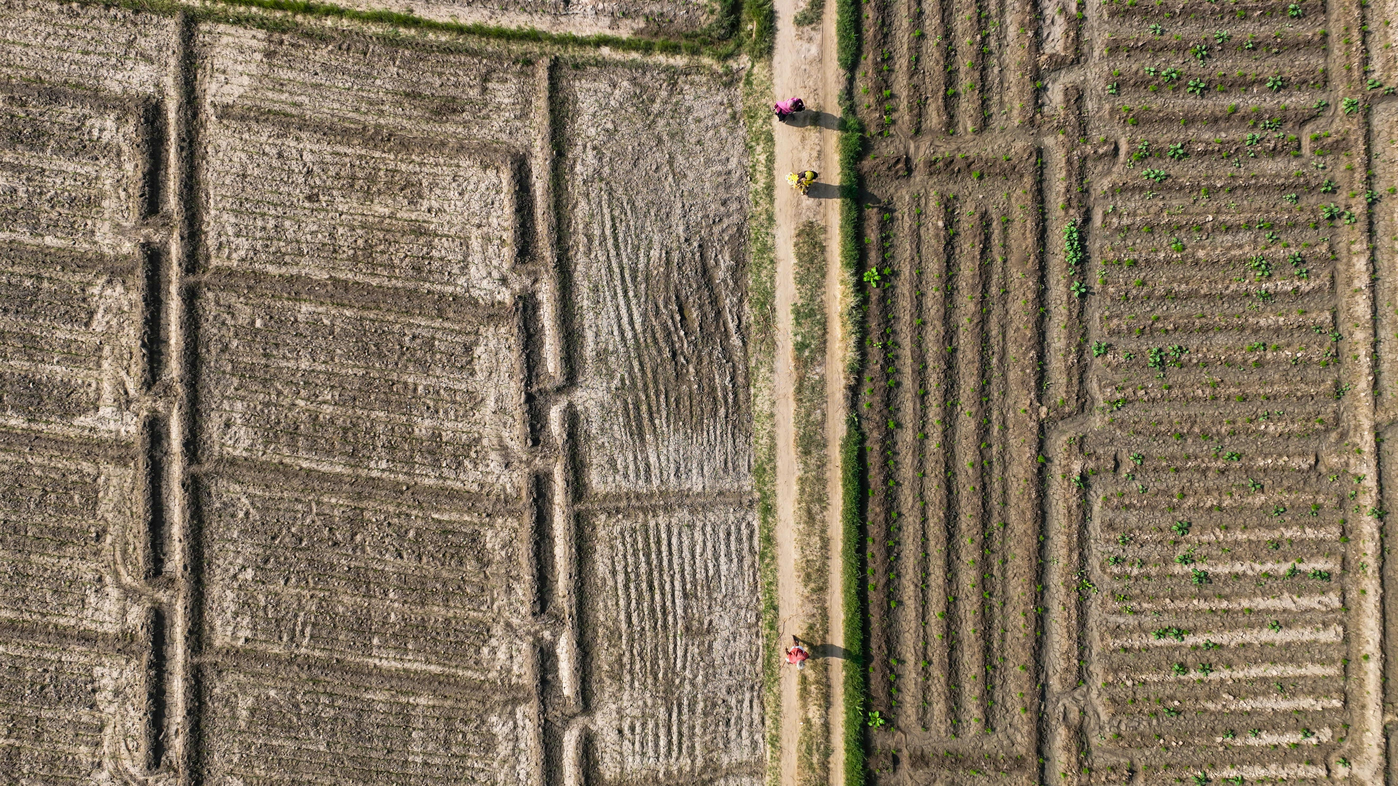 財經：美國推動無人機計劃 台灣雷虎成功搶進採購標案