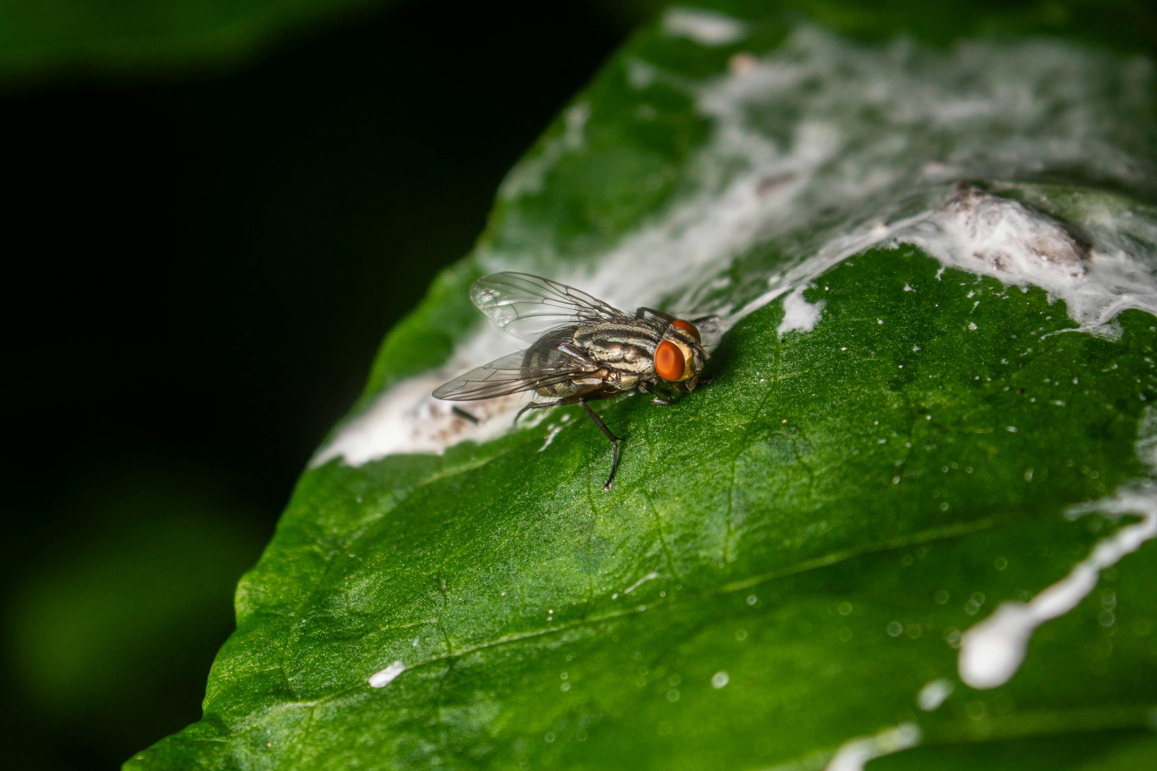 富宇共響音樂生活節啟動，推動有感綠色生活新風潮