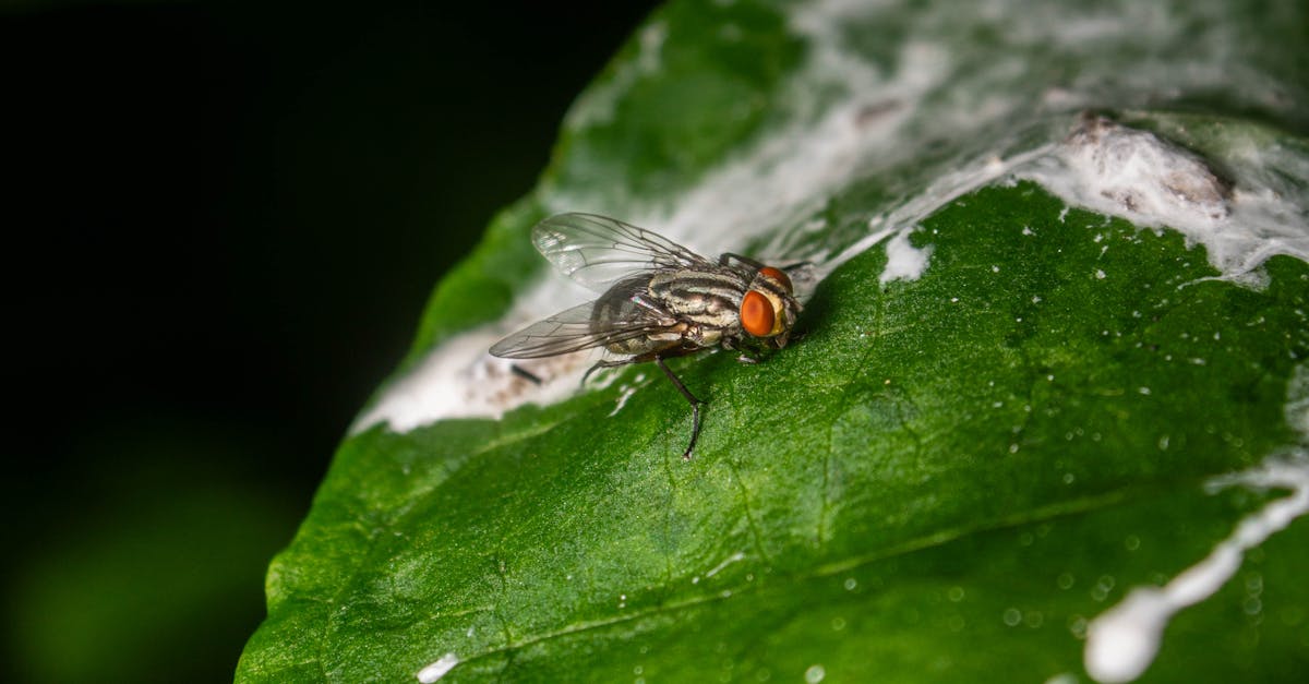 富宇共響音樂生活節啟動,推動有感綠色生活新風潮
