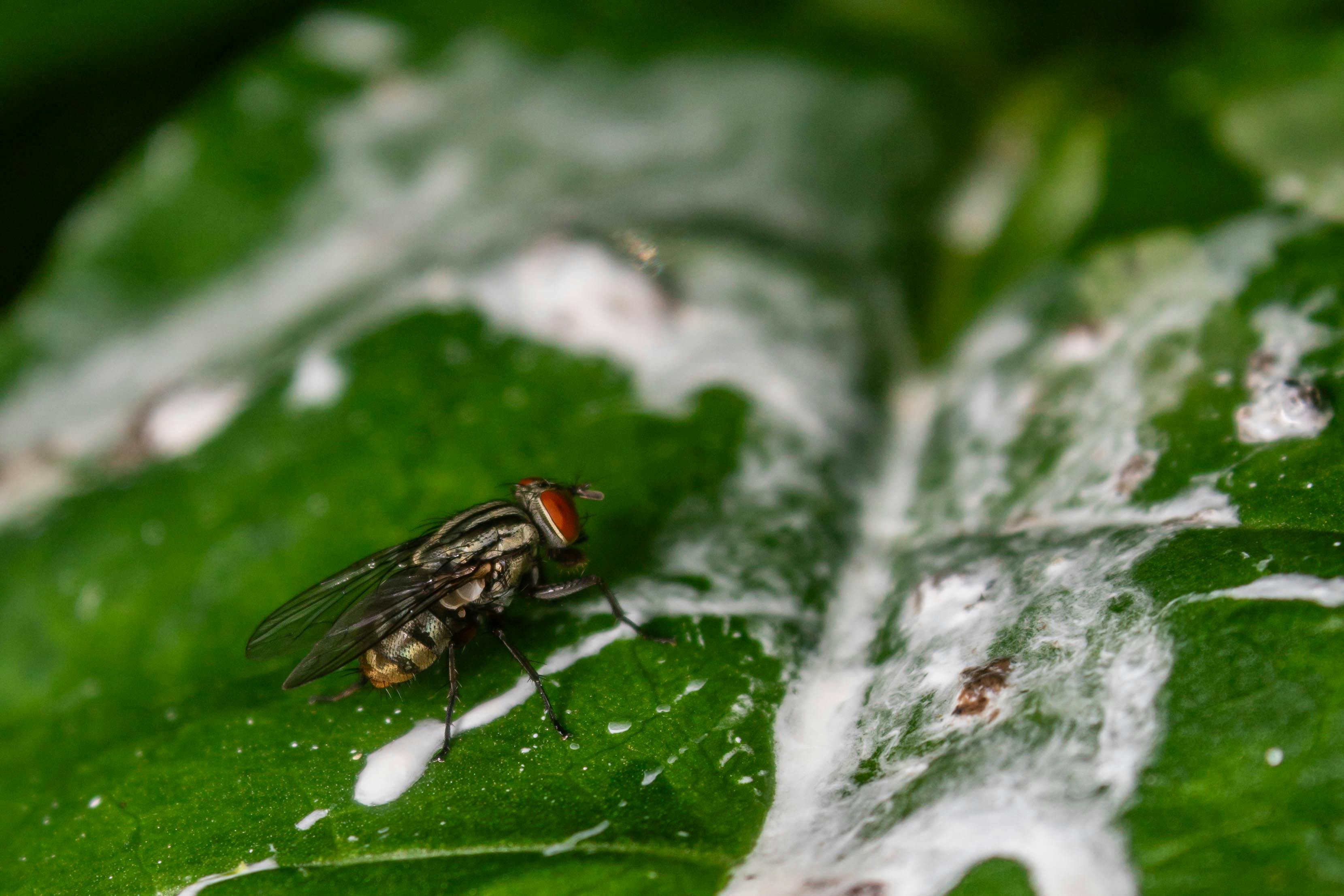 富宇共響音樂生活節啟動，推動有感綠色生活新風潮