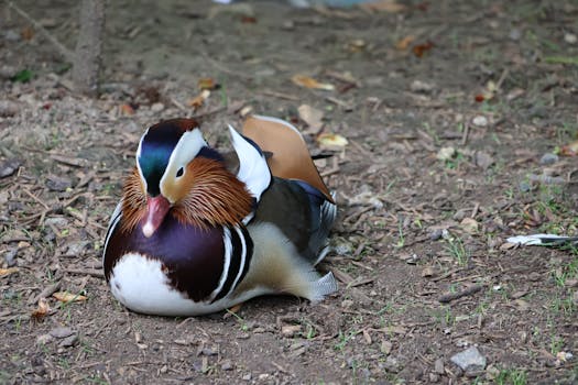 Photo by arnaud audoin