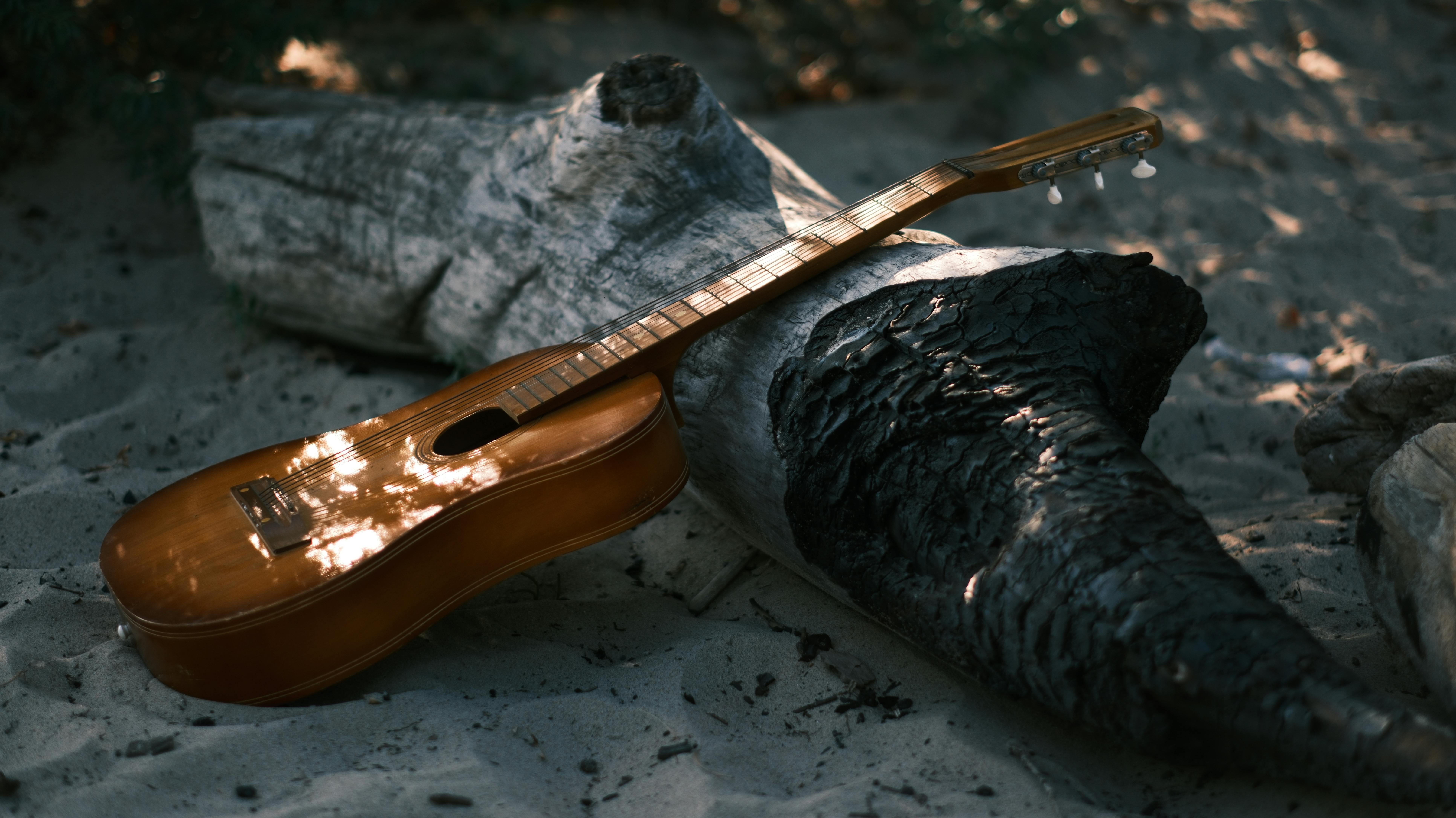 蕭美琴出席日皇華誕酒會 重申國防與主權的重要性