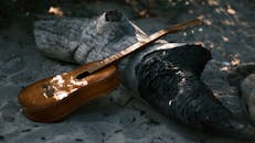 Acoustic Guitar Resting on Driftwood Beach