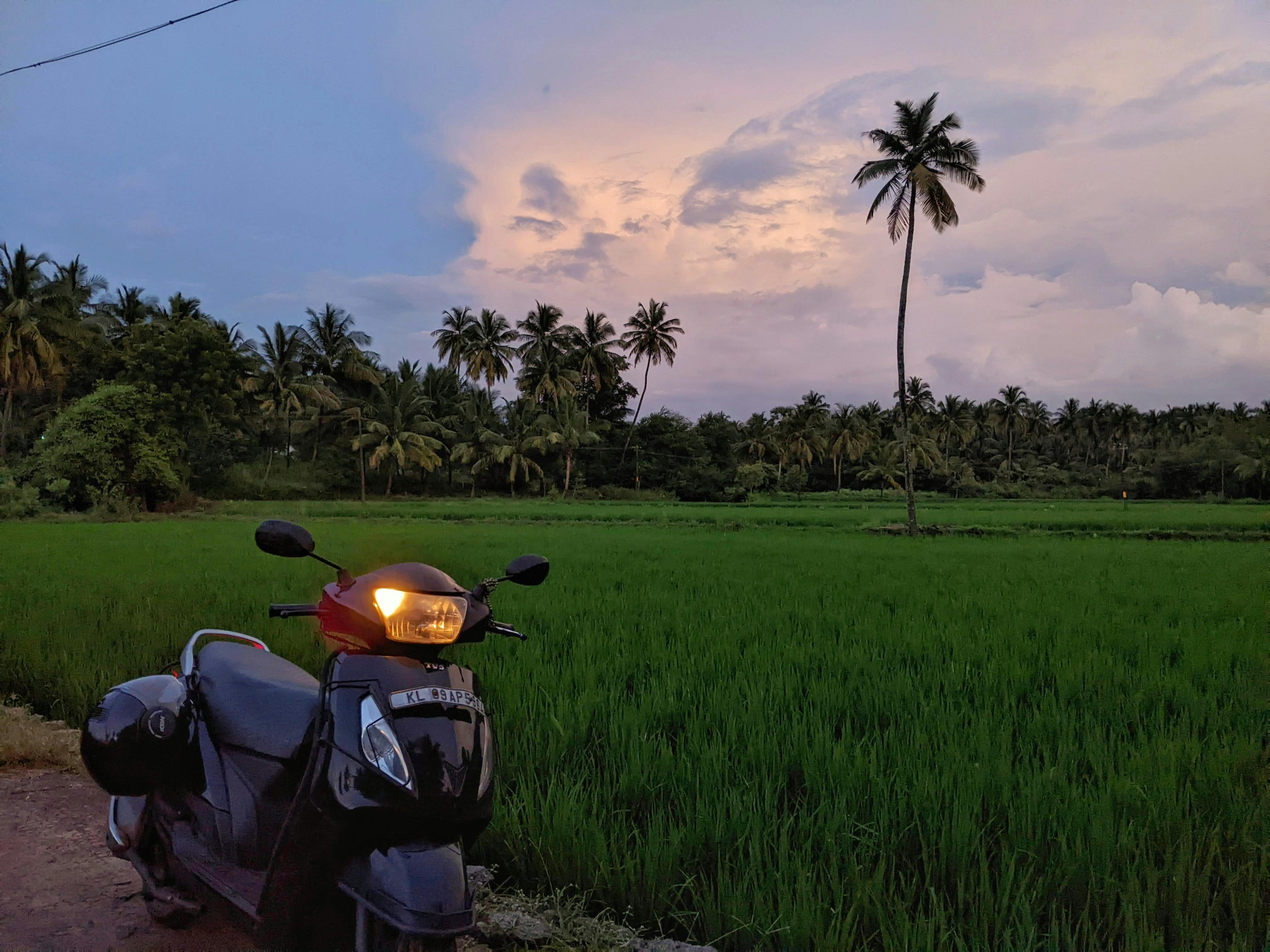 Rented scooters parked along a Canggu lane beside green rice paddies in Bali