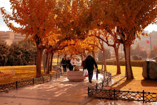 People walking under vibrant autumn trees in a serene park setting.