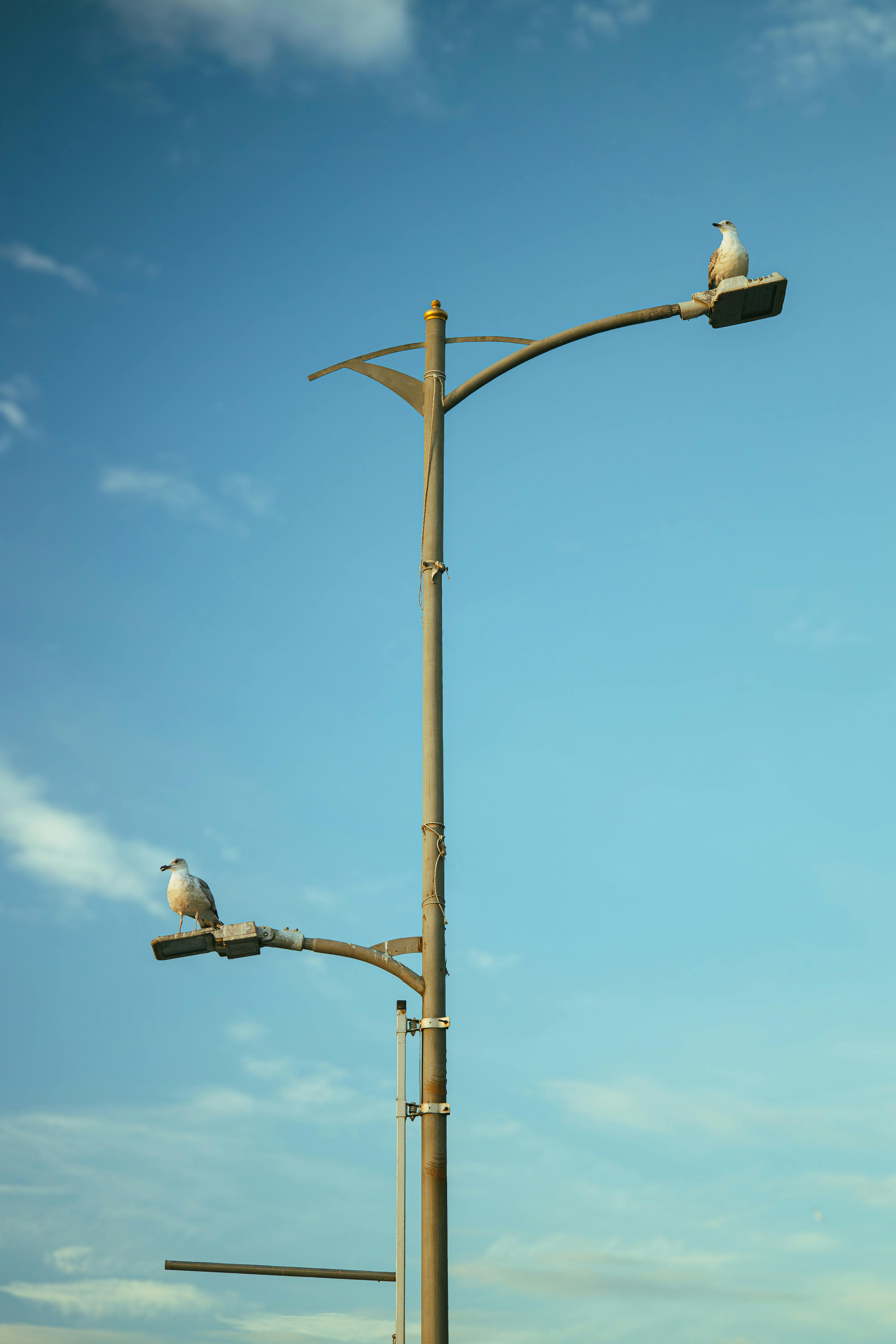 Gratis Fotos de stock gratuitas de @al aire libre, 2020 antecedentes, 2024 fondo de pantalla Foto de stock