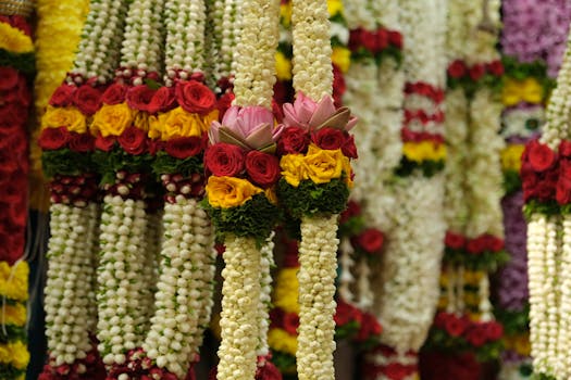Free stock photo of afternoon, bengaluru, flower market