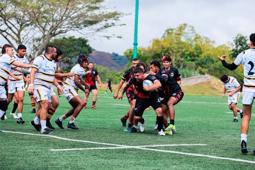 Vibrant scene of a competitive rugby match on a bright outdoor field.