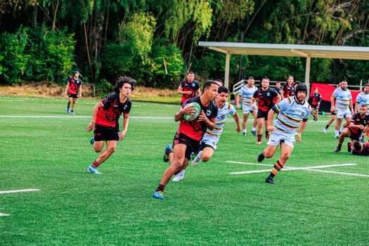 Rugby players competing vigorously on a vibrant green field, showcasing teamwork and athleticism.