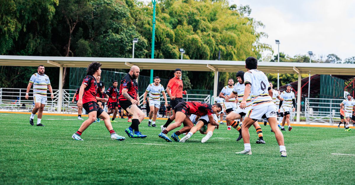 Photo: CRISTIAN CAMILO ESTRADA / Pexels Roosters defeat Raiders 20-10 to reach NRLW grand final