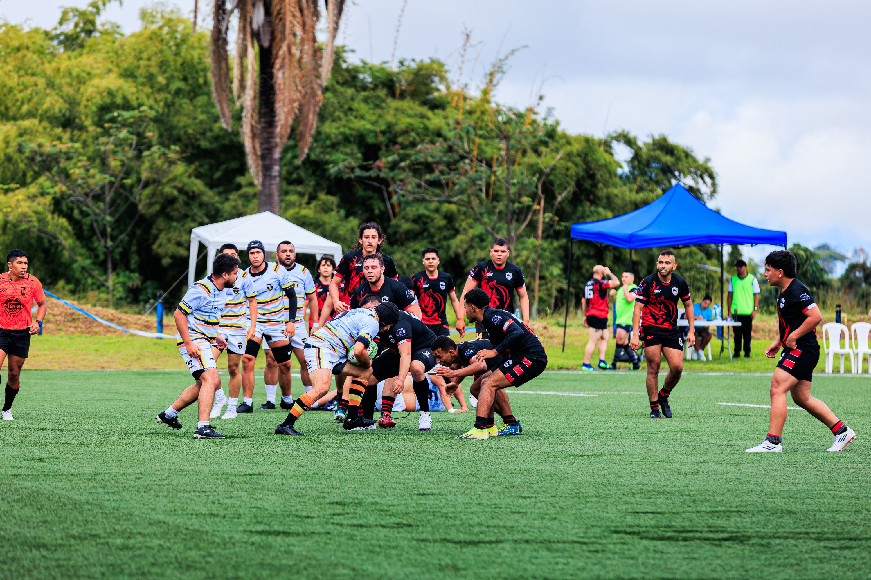 Intense Rugby Match on Green Outdoor Field · Free Stock Photo