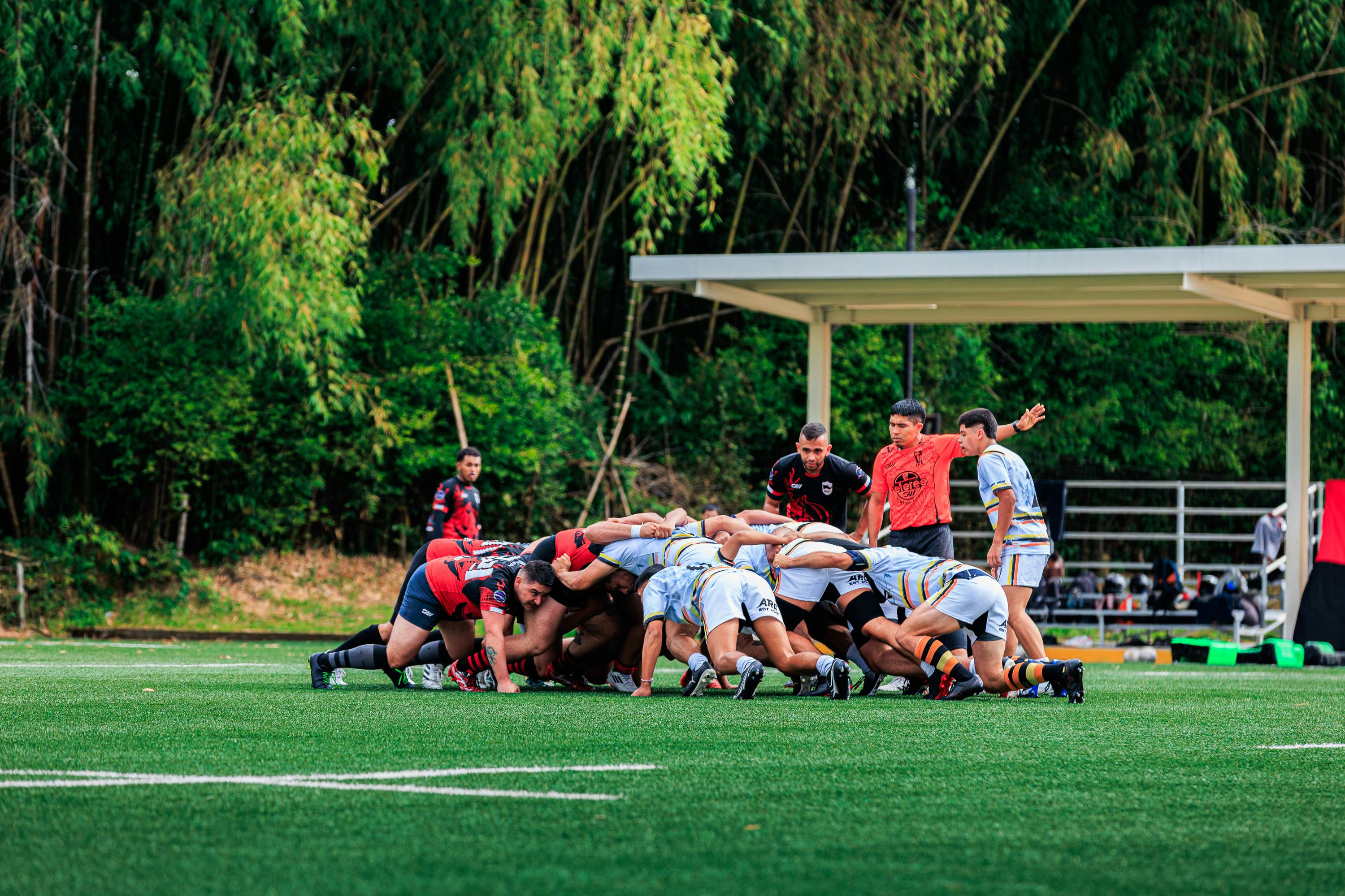 Rugby players engage in a scrimmage on a lush green field surrounded by trees.