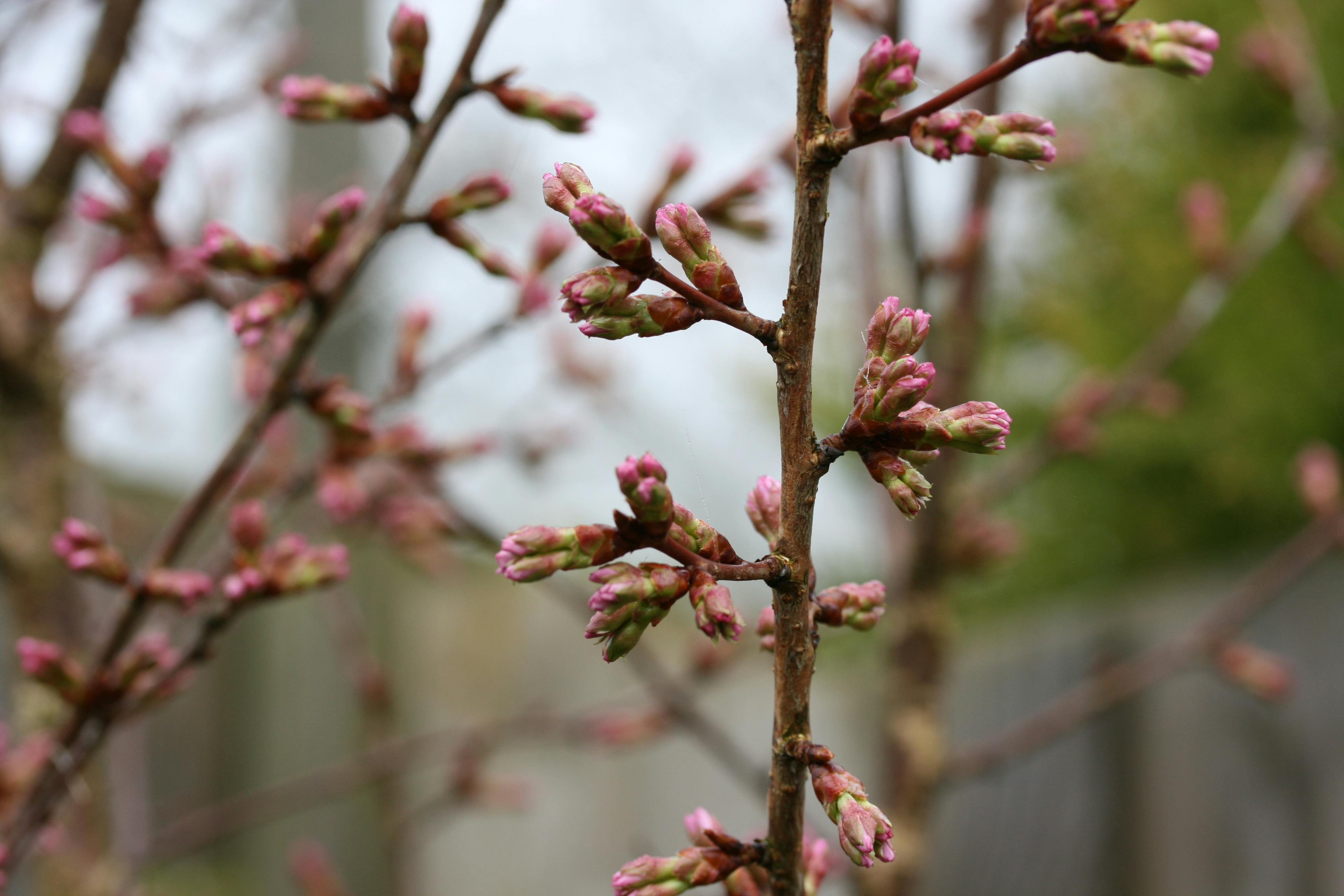 Idées pour un jardin agréable et des travaux bien équipés