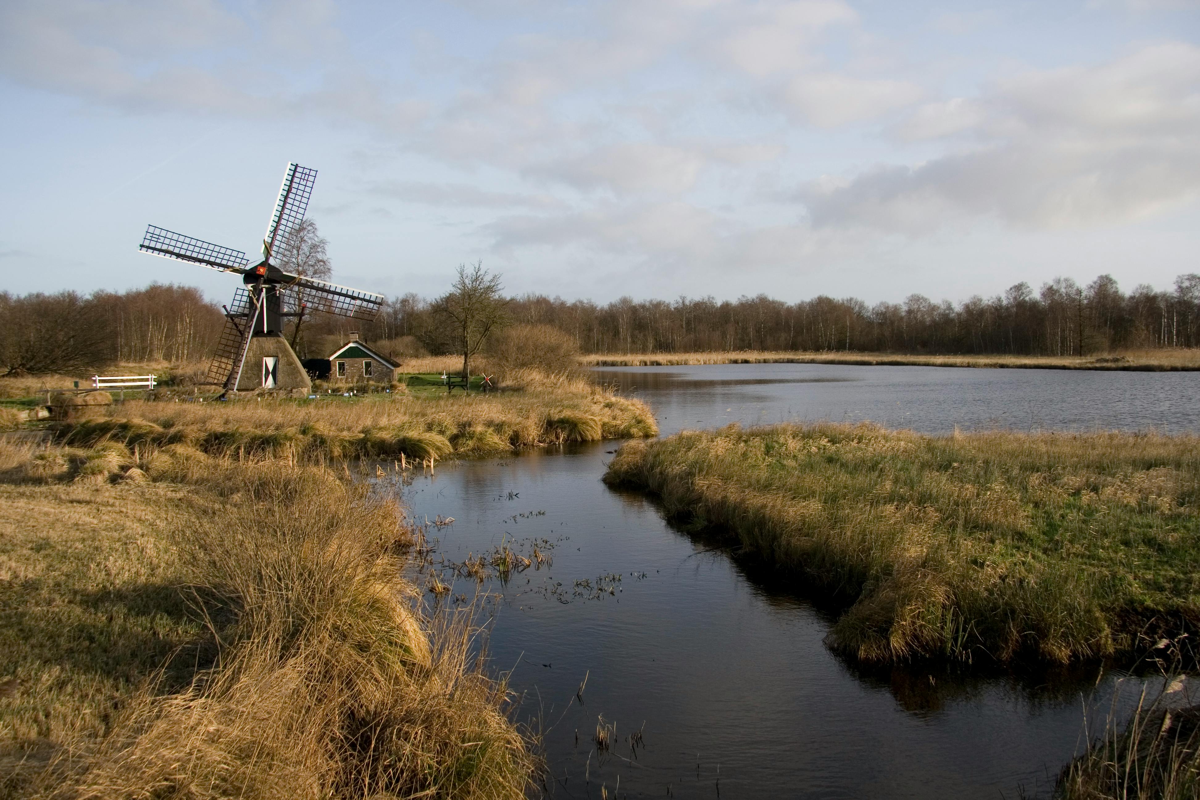 竹陞科技劉冠君董事12/08申報轉讓177張股票詳情