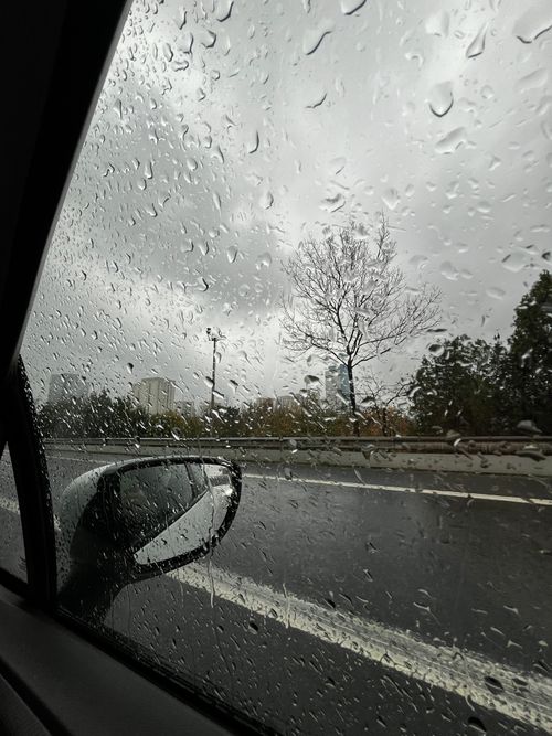 Free Raindrops on a car window view capturing a rainy street and distant trees. Stock Photo