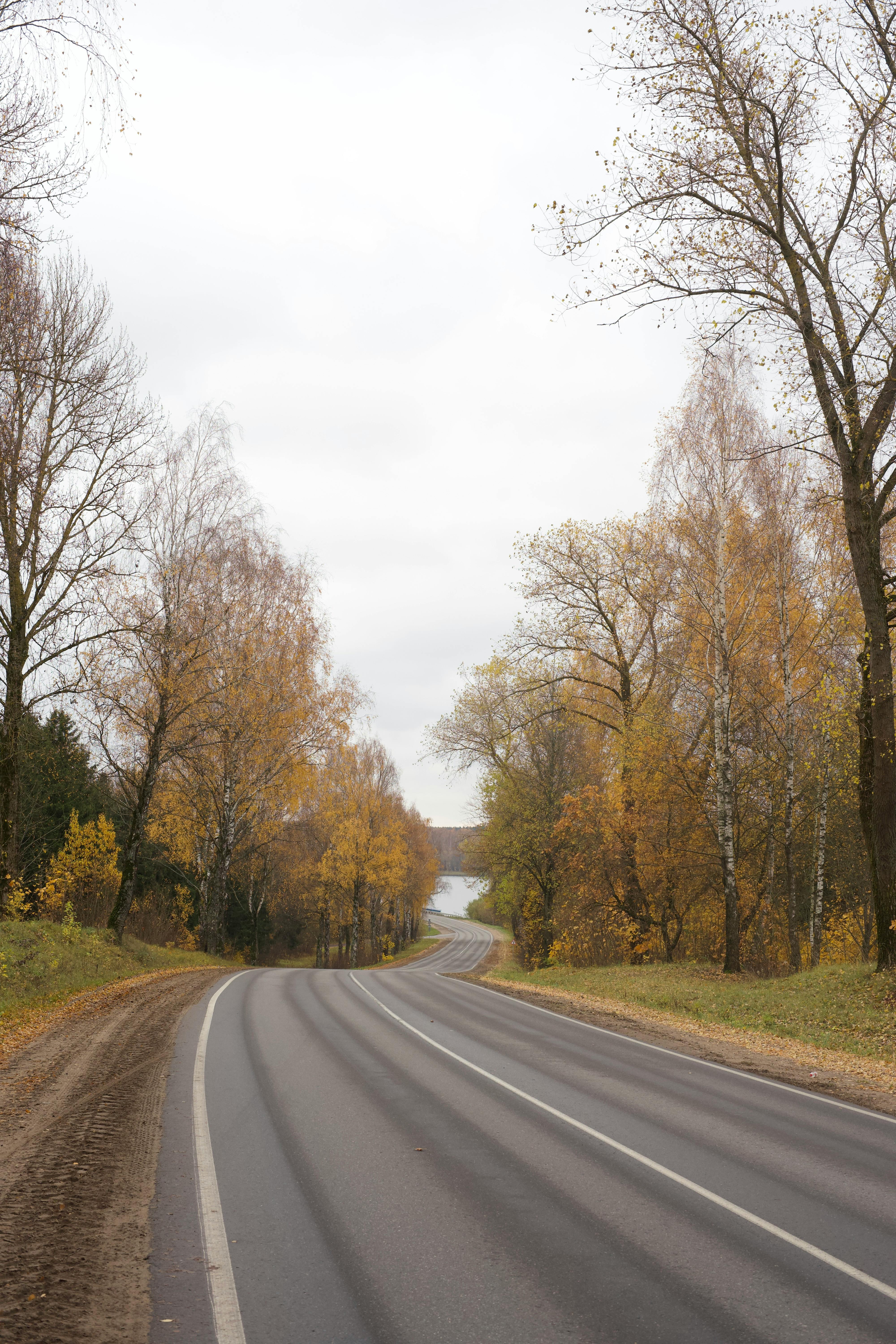 Beautiful curved road through autumn trees in Minsk, Belarus.