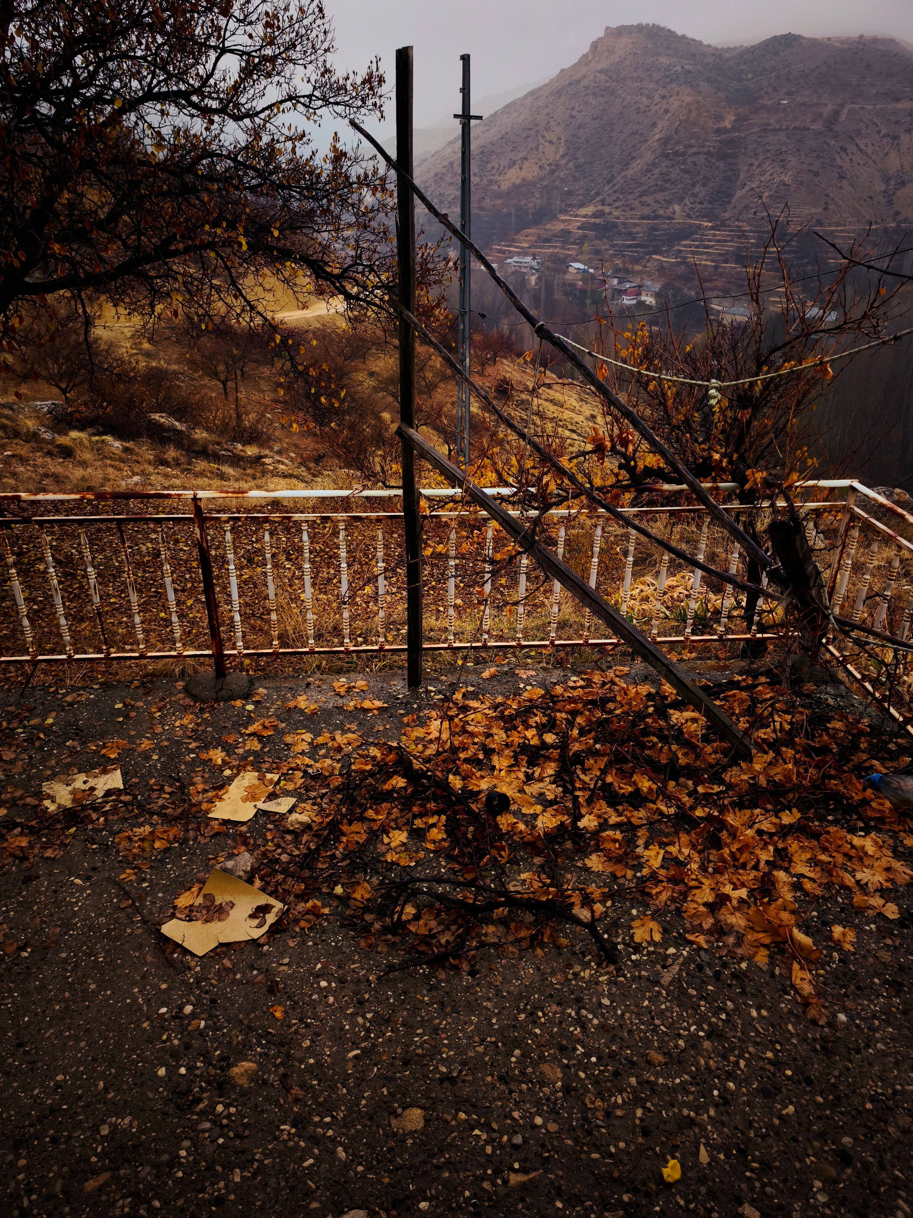 Ücretsiz autumn içeren Ücretsiz stok fotoğraf Stok Fotoğraflar