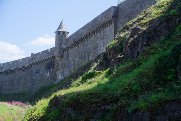 Remparts médiévaux et tourelle du château de Fougères au-dessus d'un talus herbeux