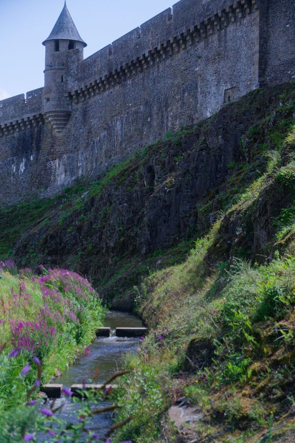 Vue verticale des murailles du château de Fougères au-dessus d'un ruisseau fleuri