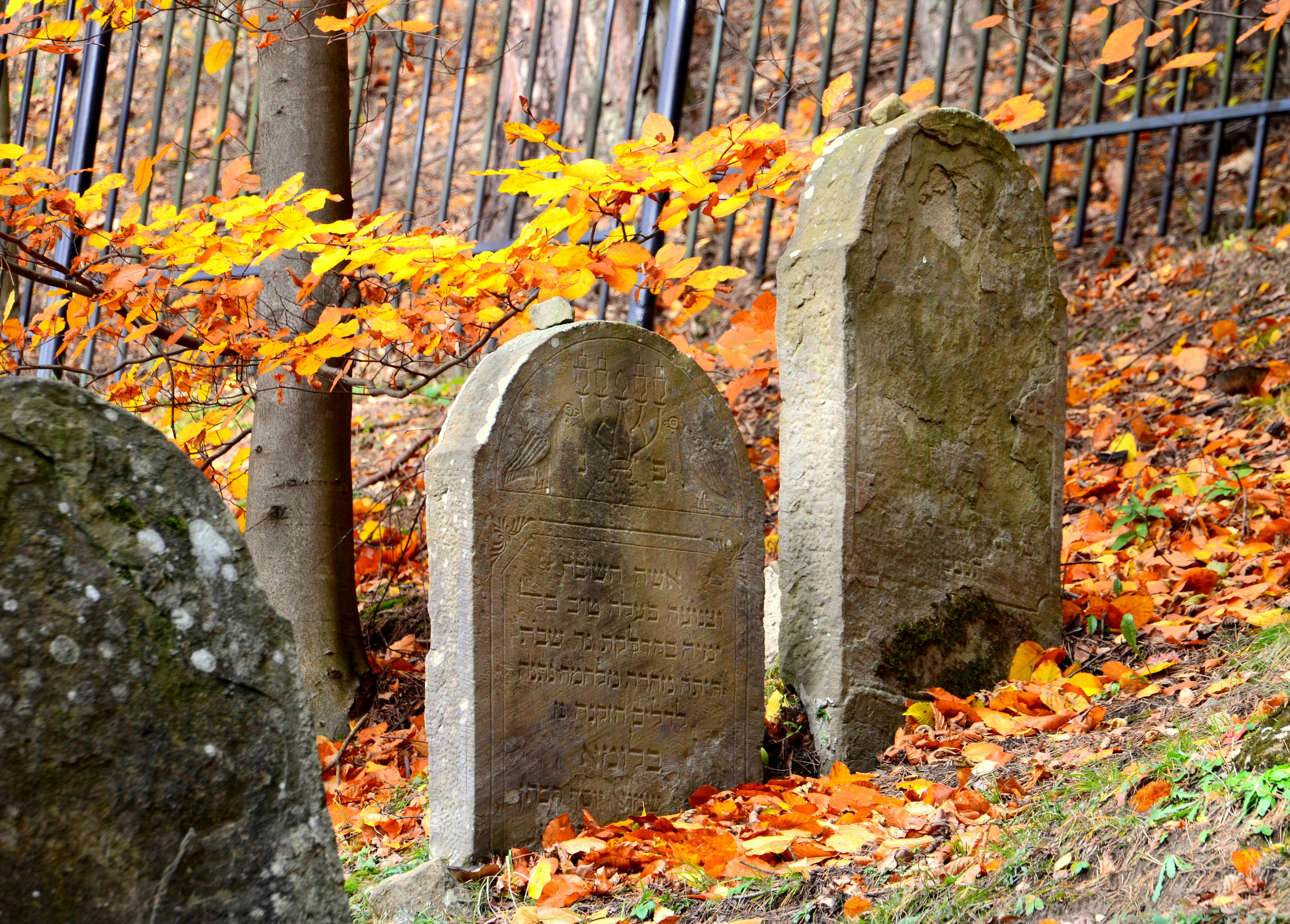 Jewish cemetery tombstones with vibrant autumn leaves creating a serene and historical ambiance.