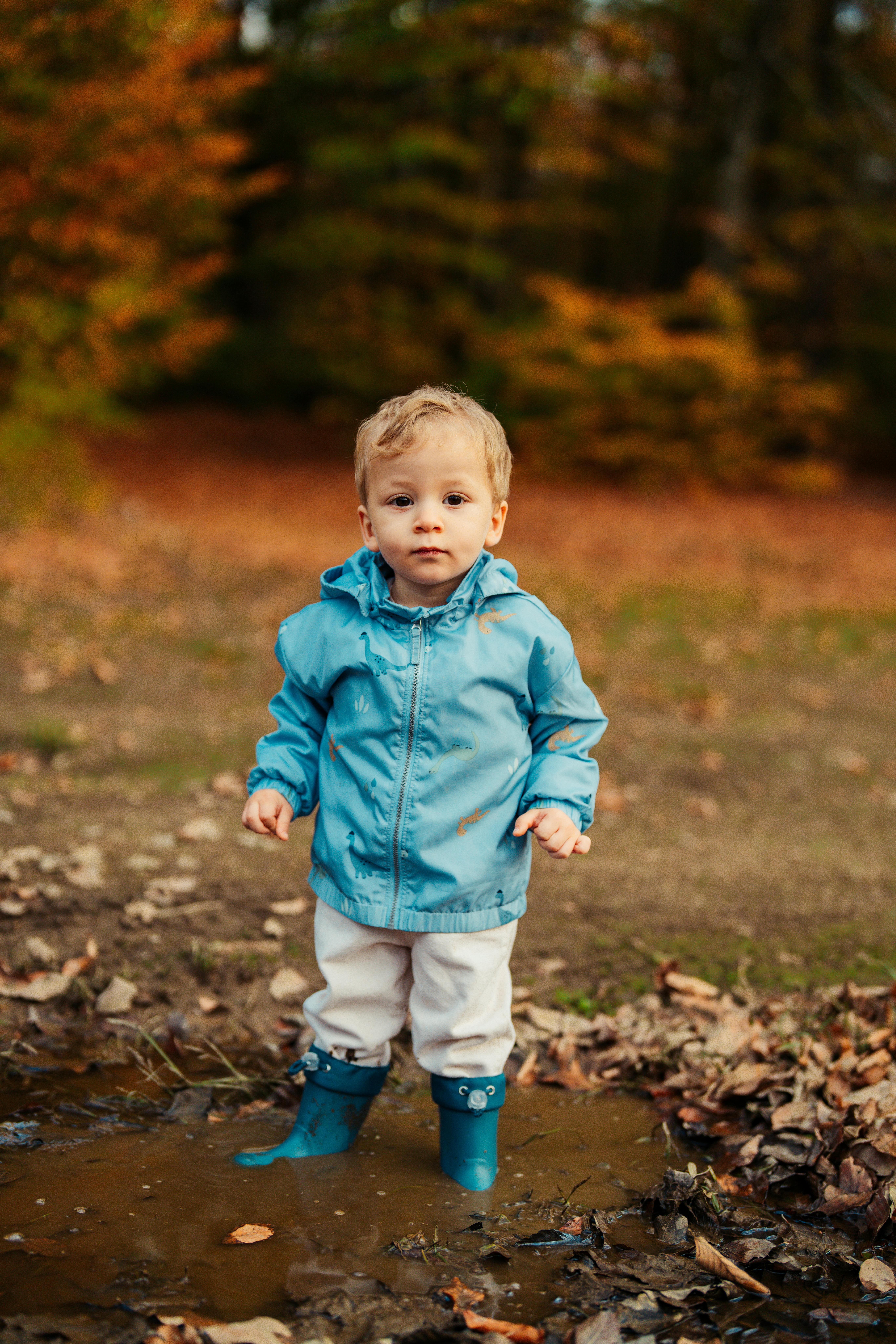 Child in blue jacket and boots standing in a muddy puddle, surrounded by autumn leaves.
